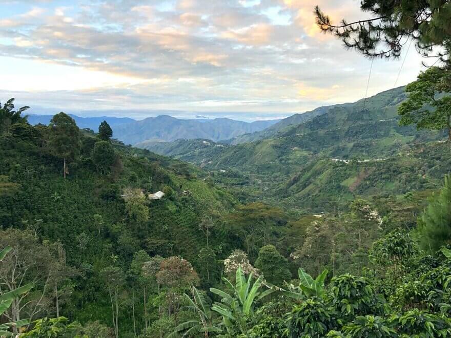 Colombian coffee mountains