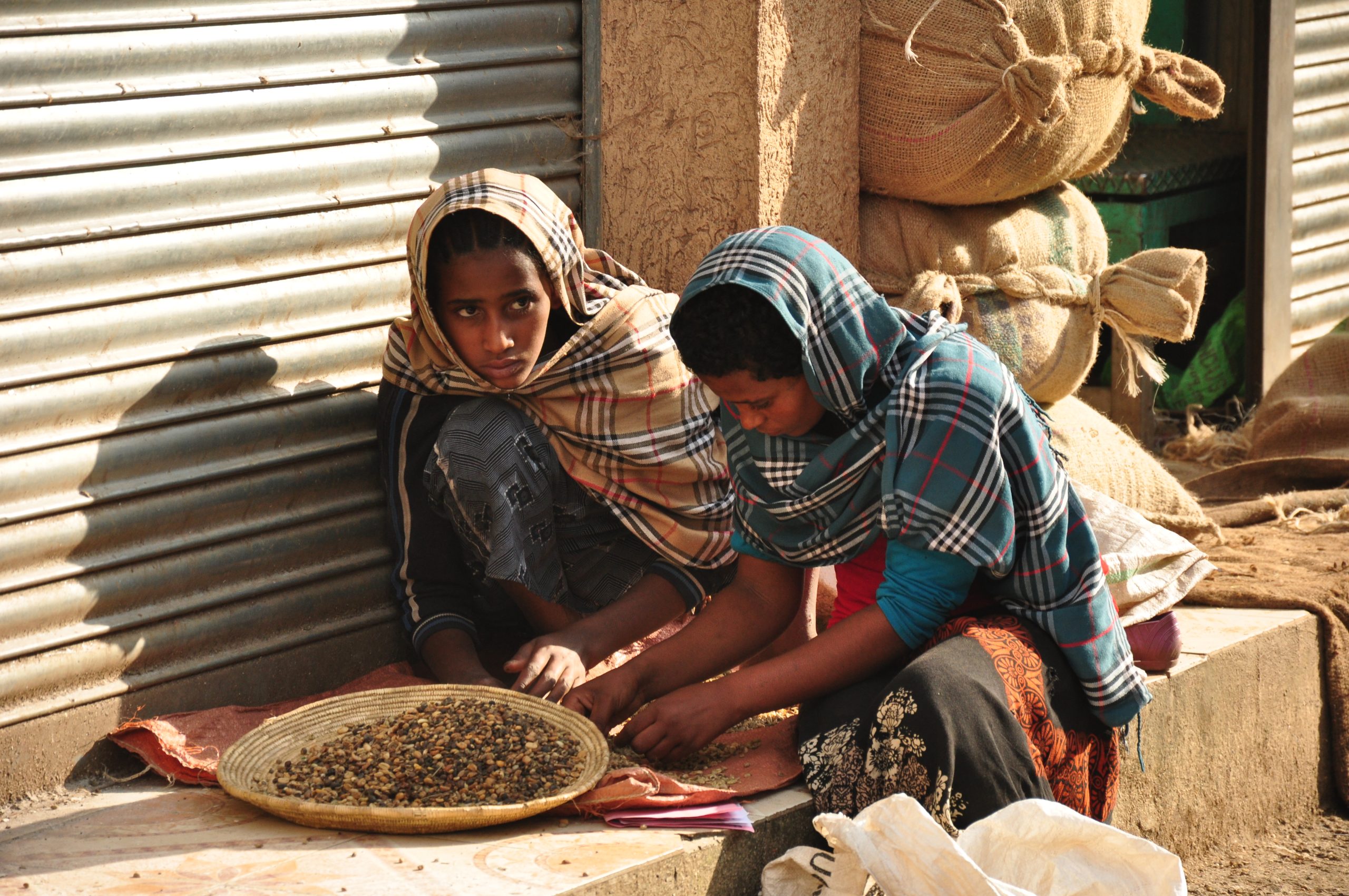 Women sorting coffee cherries Ethiopia