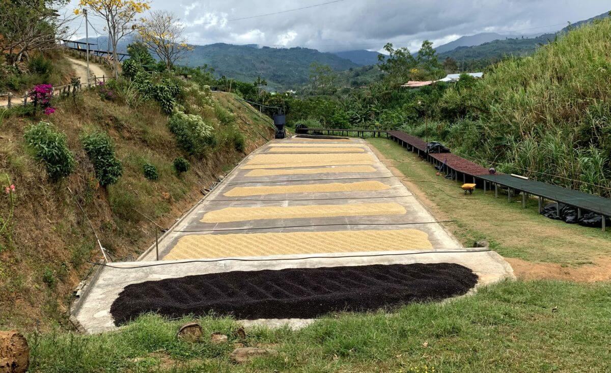 Drying patio at La Candelilla