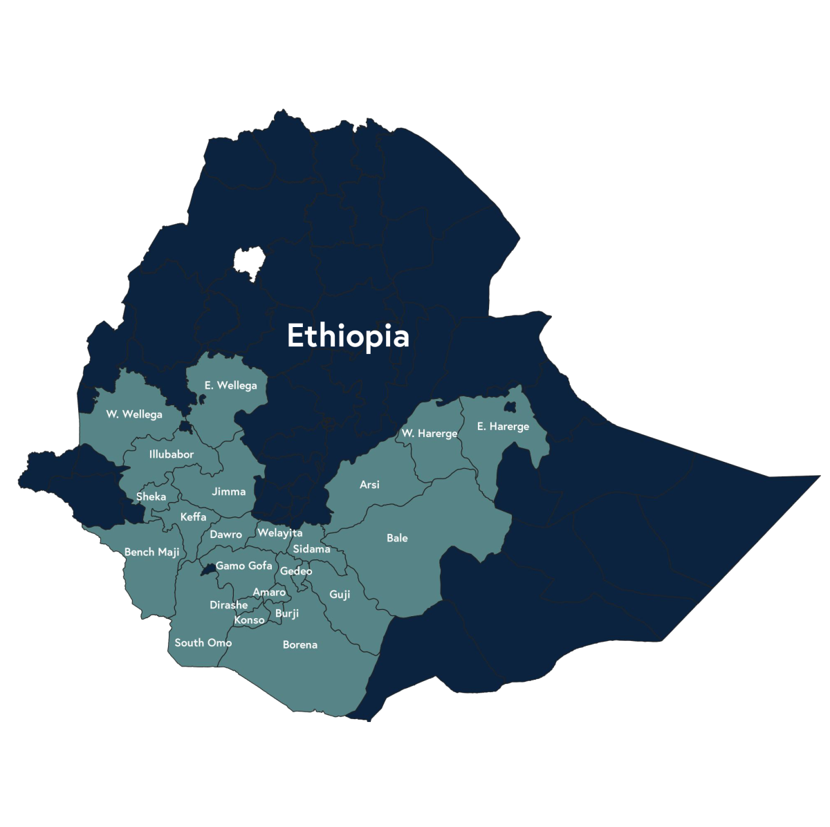 Ethiopia Yirgacheffe Natural Organic Konga origin map